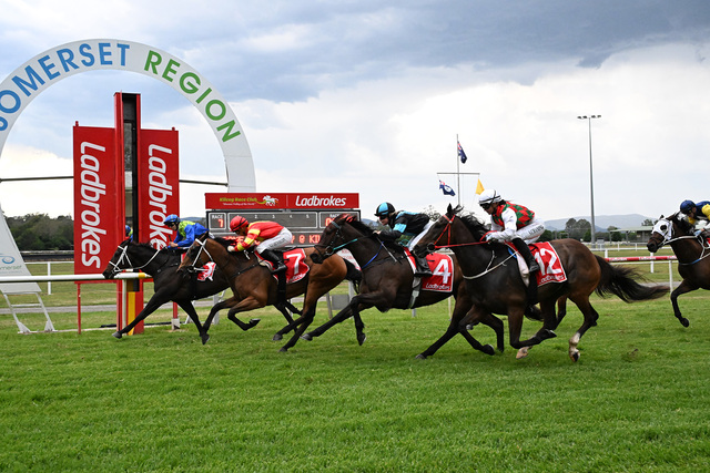 Kilcoy Races | The Lockyer & Somerset Independent