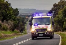 DV alleged before vehicle rollover