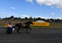 Huge turn out for Harriott