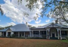 Chaos with regional dogs