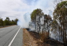 Firefighters have our backs