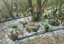 Region’s hail devastation
