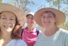 Esk’s walks for connection