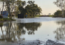 Council deploys staff to assist Koji