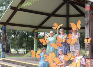 From local roots to regional icon