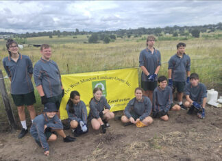 Stepping out and stepping up