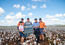 Brimbelcombe amongst cotton grower of the year finalist