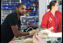 The UQ course helping to address veterinary workforce shortages