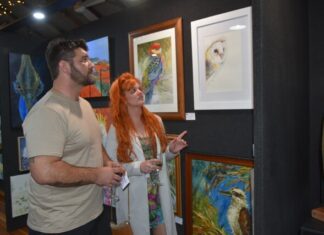 Foothills Art Show Set For Record Year