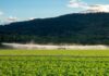 CSIRO report backs water project