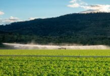 CSIRO report backs water project