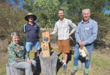 Bird Boxes…. the inside story